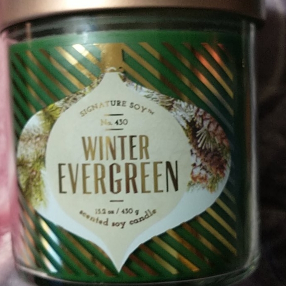 Winter evergreen house candles - Picture 2 of 5